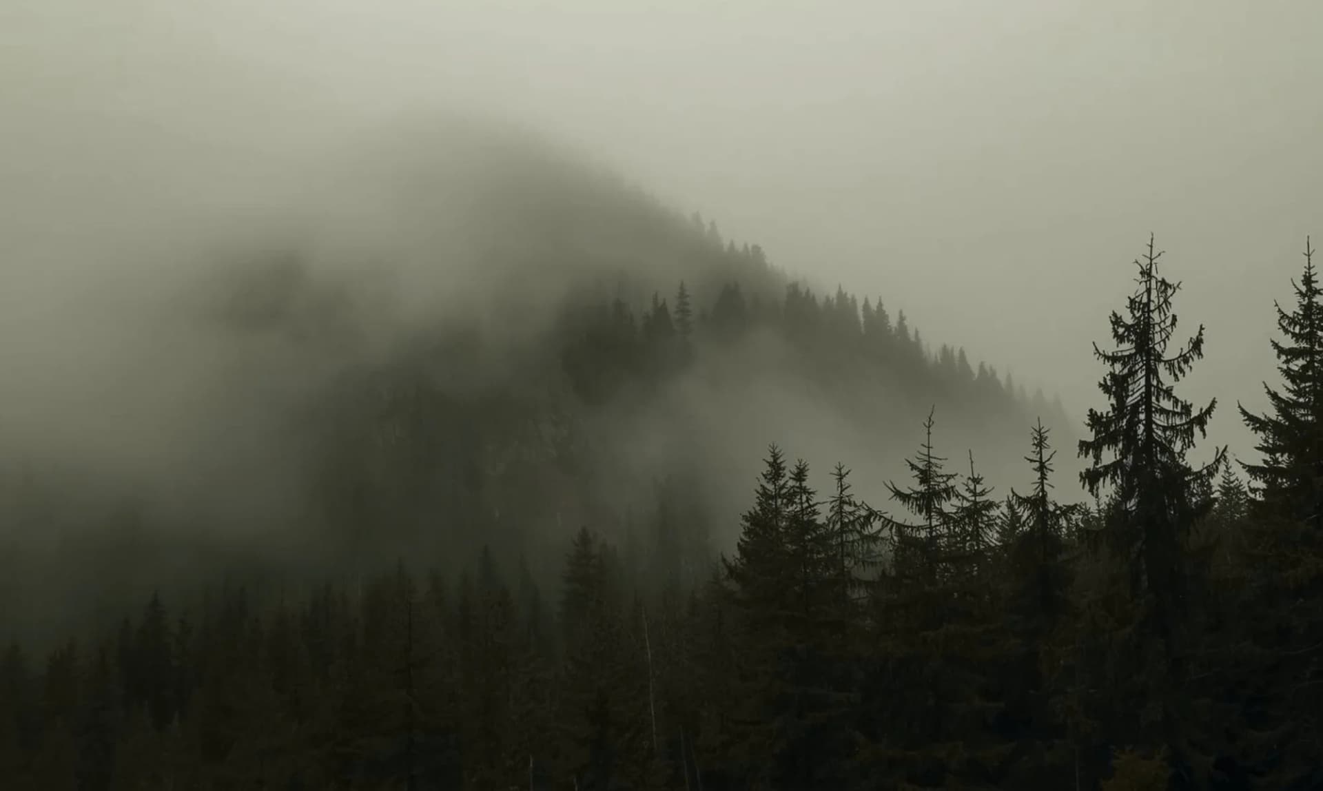 Refuge des Écrins - Site web éco-conçu pour hébergement de montagne