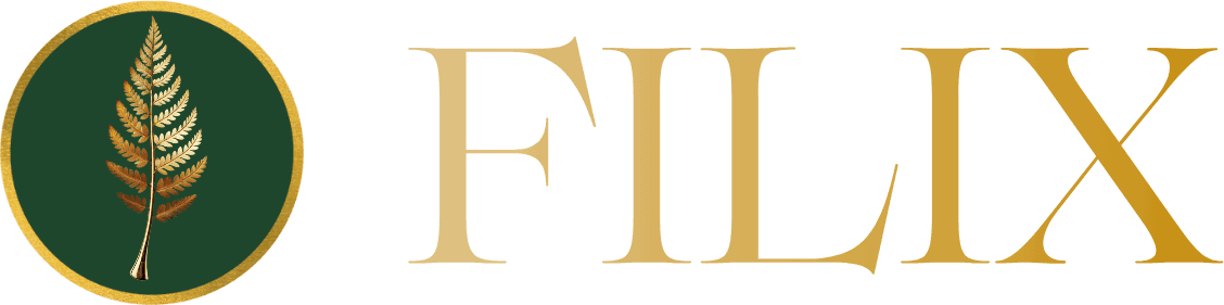 Filix Agency