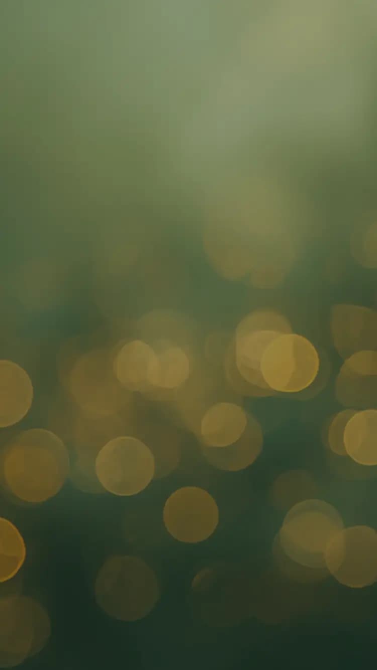 Filix Agency - Agence web éco-responsable